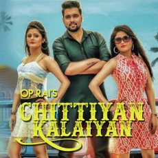 Chittiyan Kalaiyan Renuka Panwar Chittiyan Kalaiyan Renuka Panwar